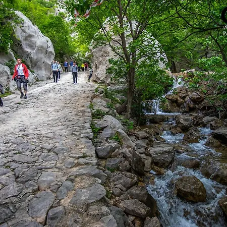 Appartement Lucija *